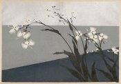 Furutani Kôrin - Shasei sôka môyô (Patterns of Plants and Flowers from Nature), 1907