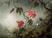 Martin Johnson Heade - Passion Flowers and Hummingbirds, about 1870-83