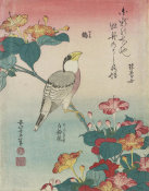 Katsushika Hokusai - Hawfinch and Marvel-of-Peru (Ikaru, oshiroi no hana), about 1834