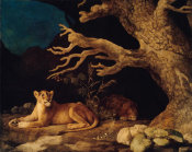 George Stubbs - Lion and Lioness, 1771