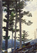 Winslow Homer - Old Settlers, 1892
