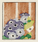 Edna Boies Hopkins - Cineraria, about 1915‑17