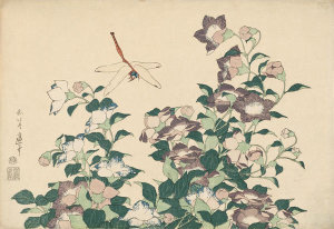 Katsushika Hokusai - Bellflower and Dragonfly, about 1833–34