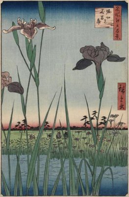 Utagawa Hiroshige - Horikiri Iris Garden (Horikiri no hanashôbu), 1857