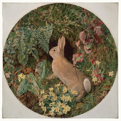 William J. Webbe - Rabbit amid Ferns and Flowering Plants, 1855