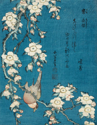 Katsushika Hokusai - Bullfinch and Weeping Cherry, about 1834