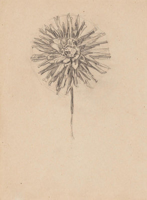 Piet Mondrian - Study of a Dahlia (Sketchbook Sheet 4), 1908