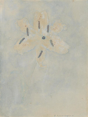 Piet Mondrian - Golden Lily (Amaryllis), 1908