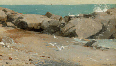 Winslow Homer - Rocky Coast and Gulls, 1869