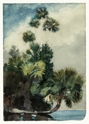 Winslow Homer - Palm Trees, Florida, 1904