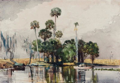 Winslow Homer - Thornhill Bar (Florida), 1886